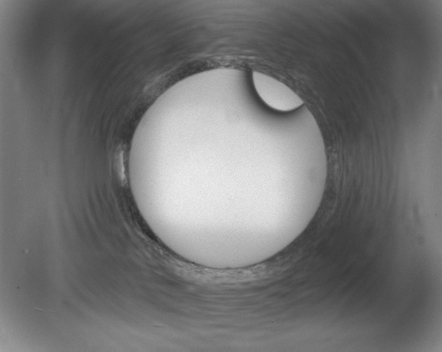 X0000078830042200611130943