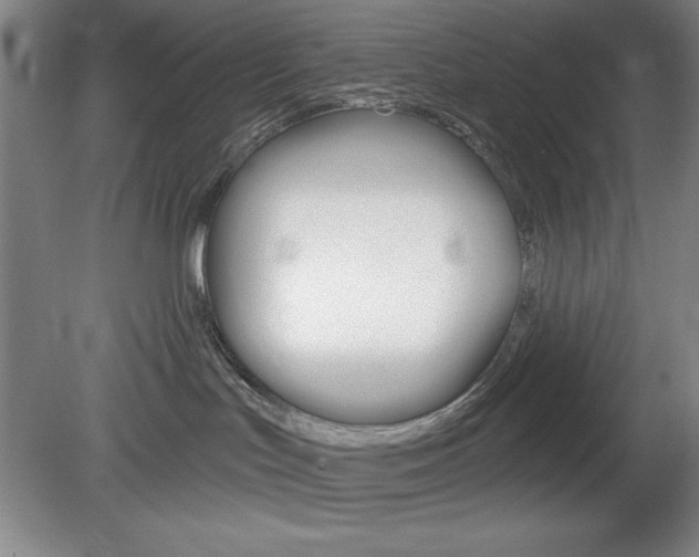 X0000078830047200611130943