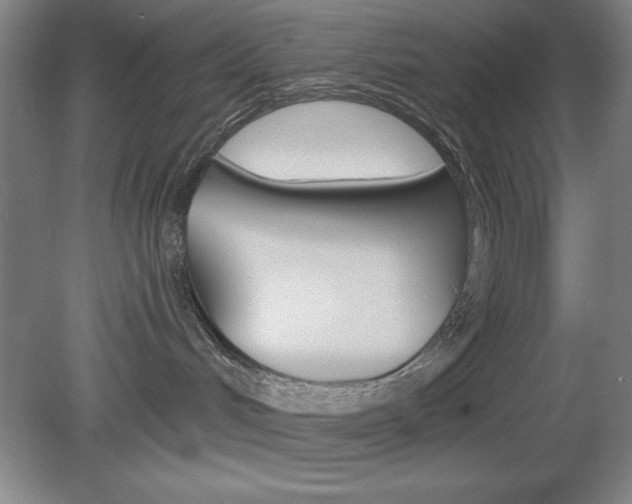 X0000078830048200611130943