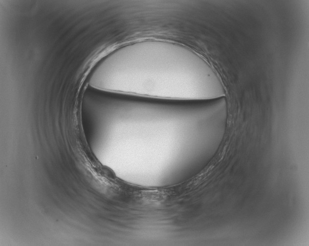 X0000078830050200611130942