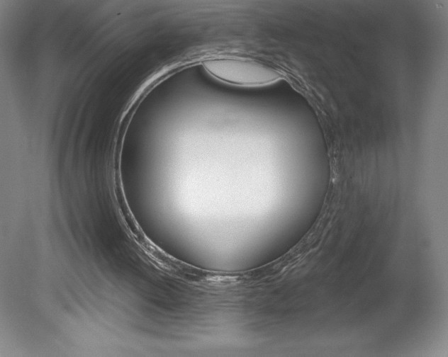 X0000078830052200611130942