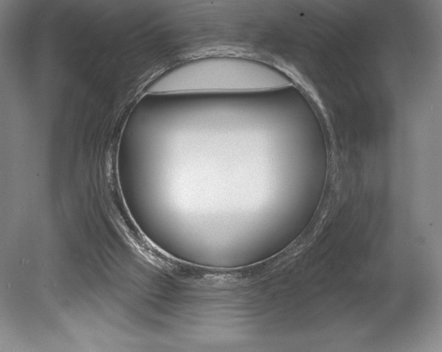 X0000078830057200611130942