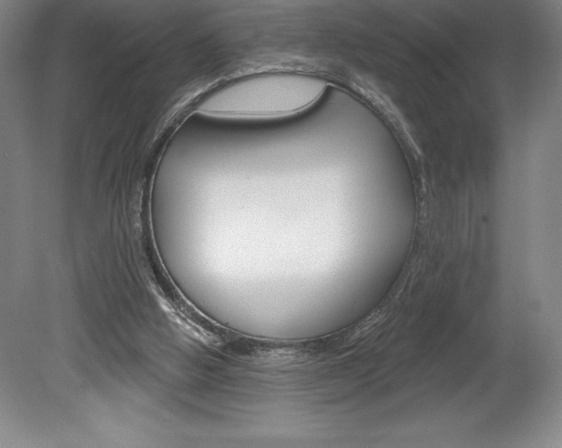 X0000078830058200611130942