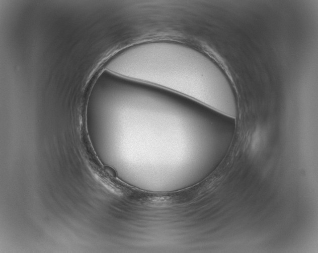 X0000078830059200611130942