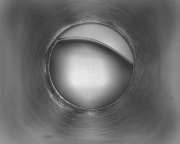 X0000078830060200611130942