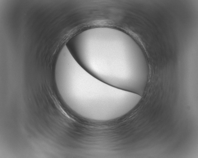 X0000078830061200611130942