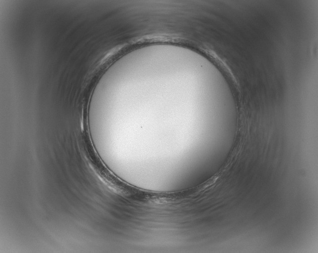 X0000078830062200611130942