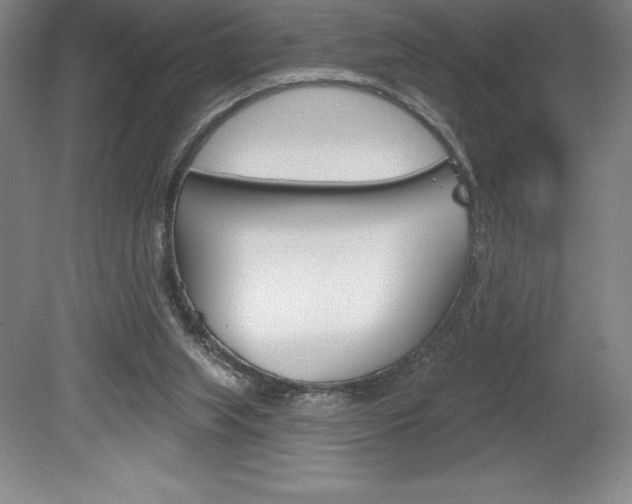 X0000078830063200611130942
