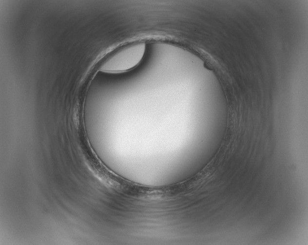 X0000078830064200611130942