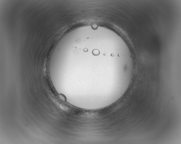 X0000078830065200611130942