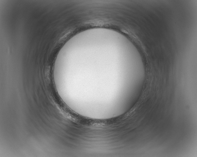 X0000078830066200611130942