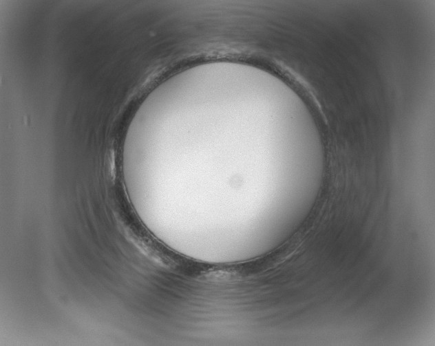 X0000078830067200611130942