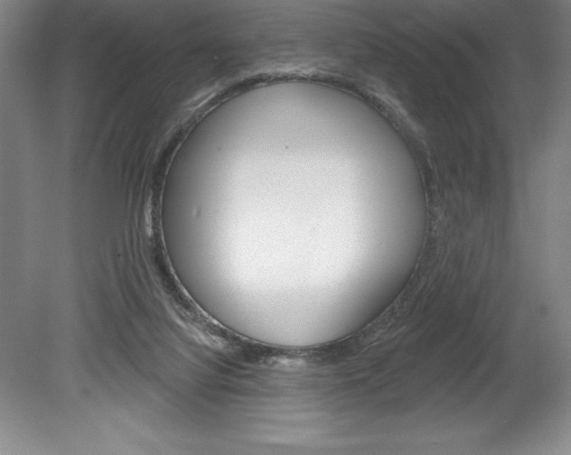 X0000078830068200611130942