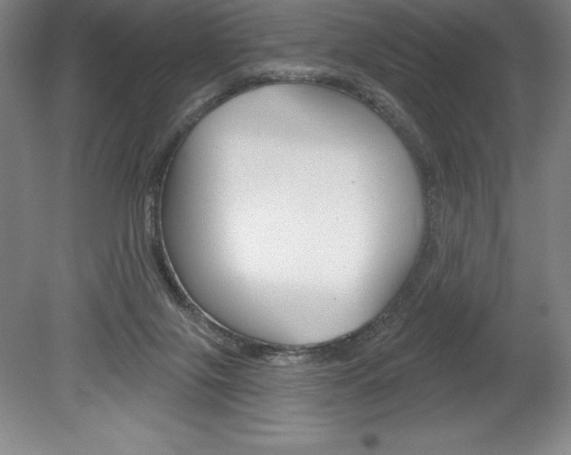 X0000078830071200611130943