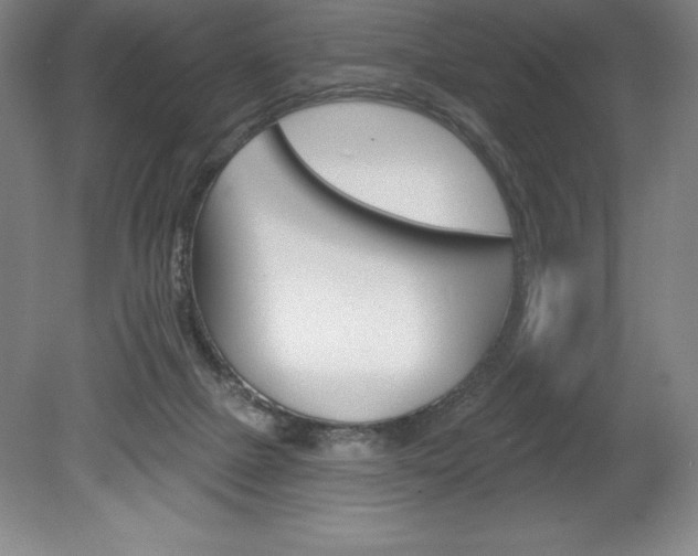 X0000078830073200611130943