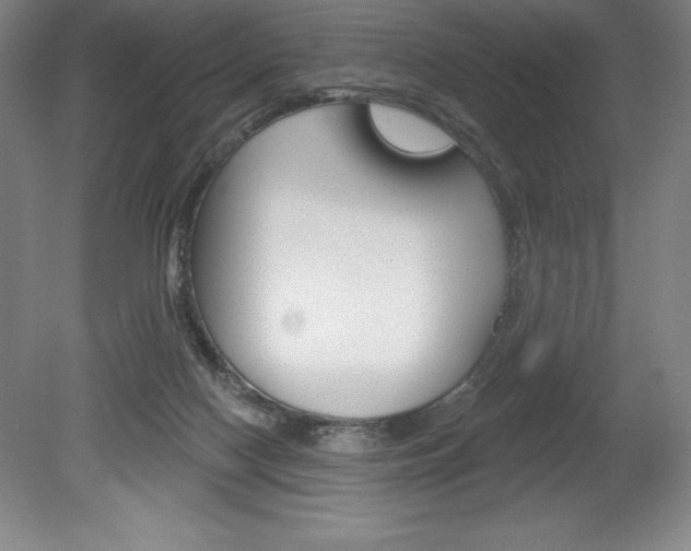 X0000078830074200611130943