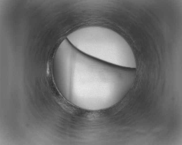 X0000078830075200611130943