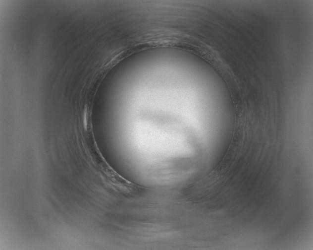 X0000078830076200611130943