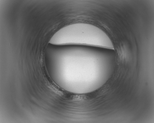 X0000078830077200611130943