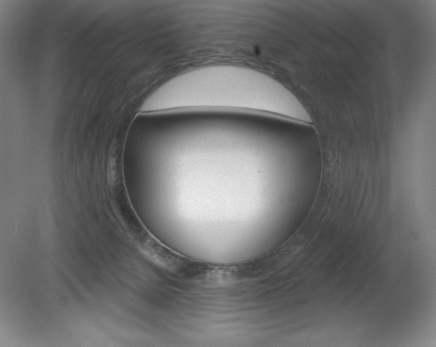 X0000078830080200611130943