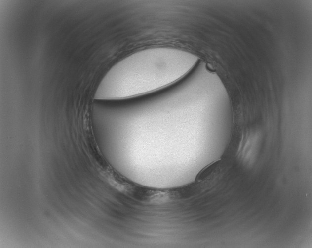 X0000078830083200611130943