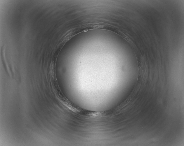 X0000078830092200611130943