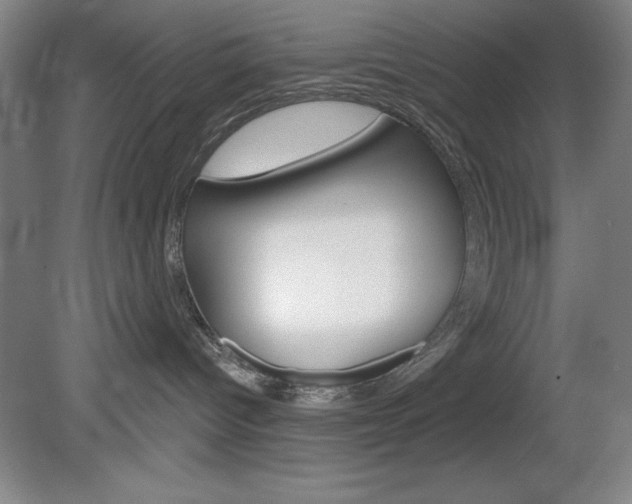 X0000078830096200611130943