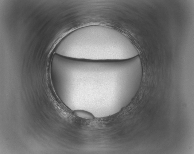 X0000078830098200611130942
