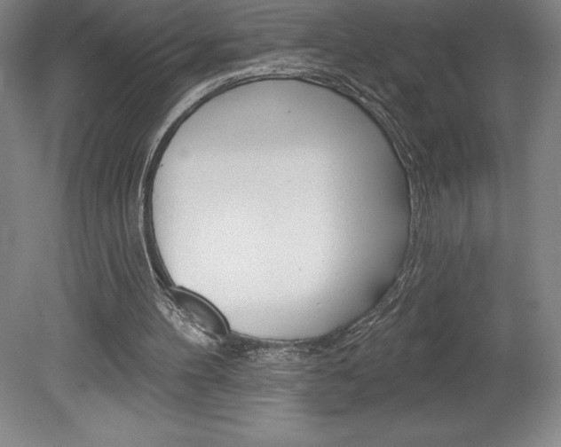 X0000078830100200611130942