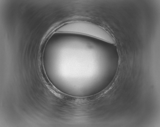 X0000078830101200611130942