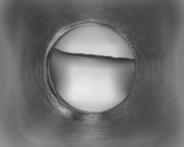 X0000078830102200611130942