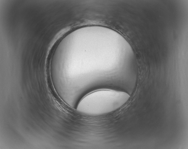 X0000078830104200611130942