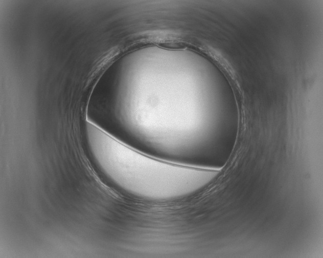 X0000078830105200611130942