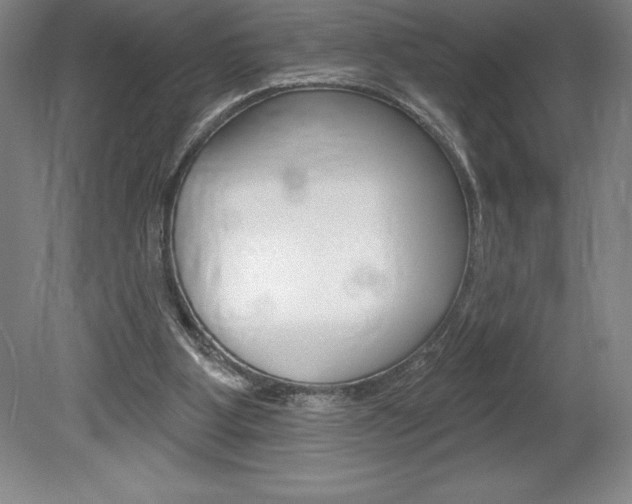 X0000078830107200611130942