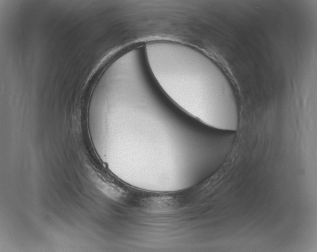 X0000078830108200611130942