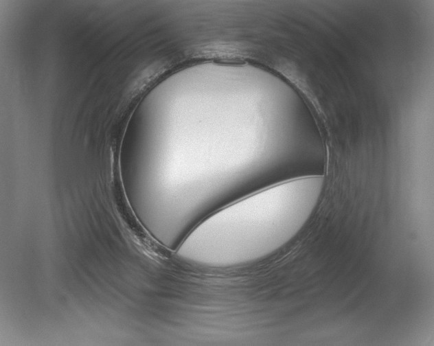X0000078830109200611130942