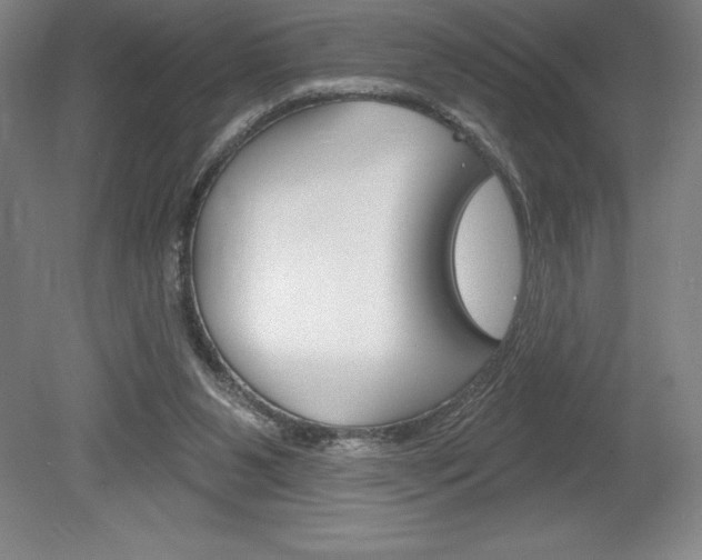 X0000078830111200611130942