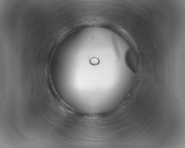 X0000078830113200611130942