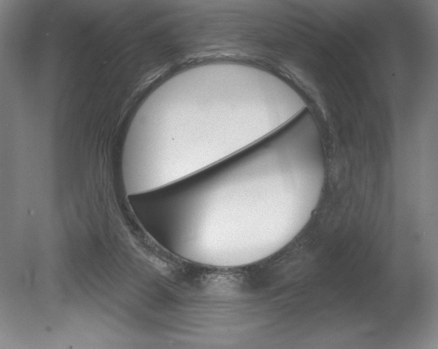 X0000078830115200611130942