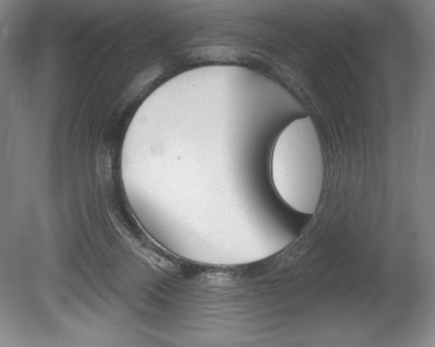 X0000078830120200611130942