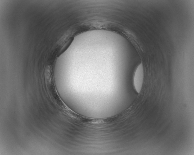 X0000078830121200611130942