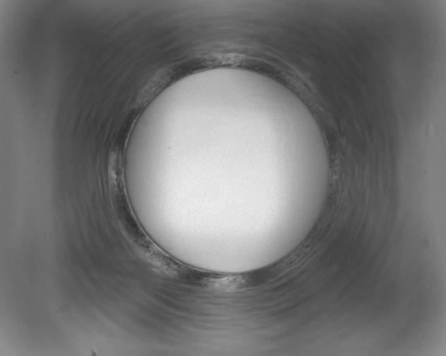 X0000078830122200611130942