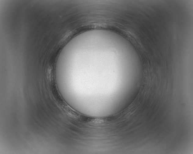 X0000078830123200611130942