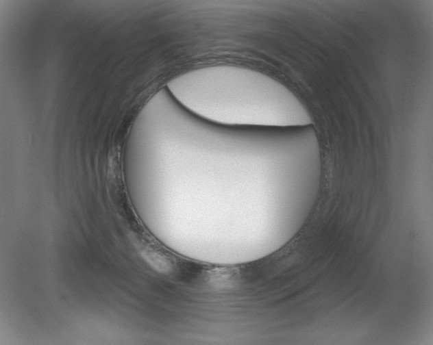 X0000078830126200611130942