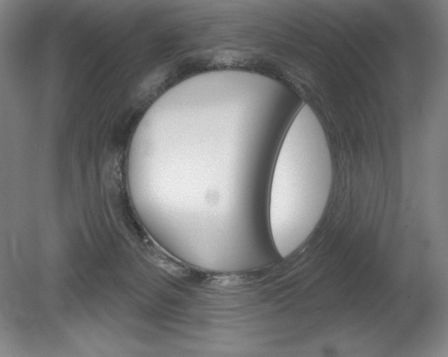 X0000078830127200611130942