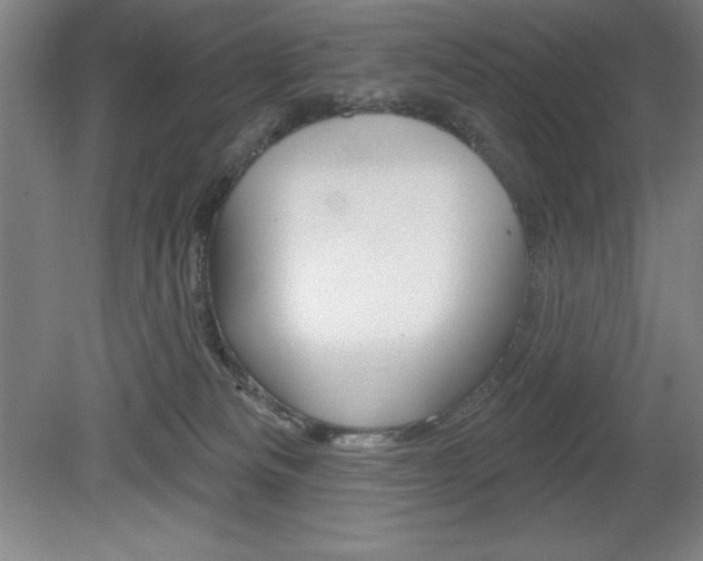 X0000078830133200611130942