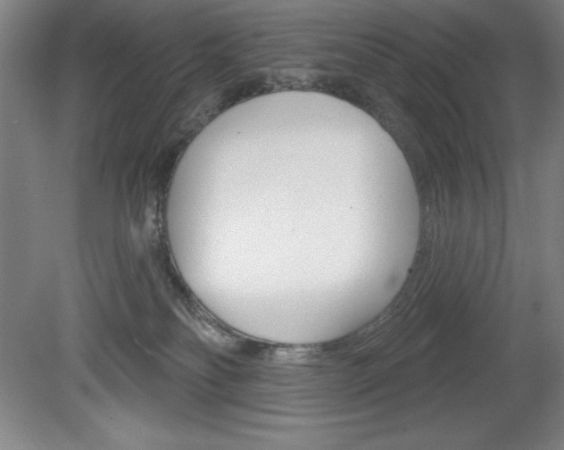 X0000078830134200611130942