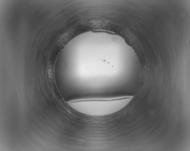 X0000078830137200611130941