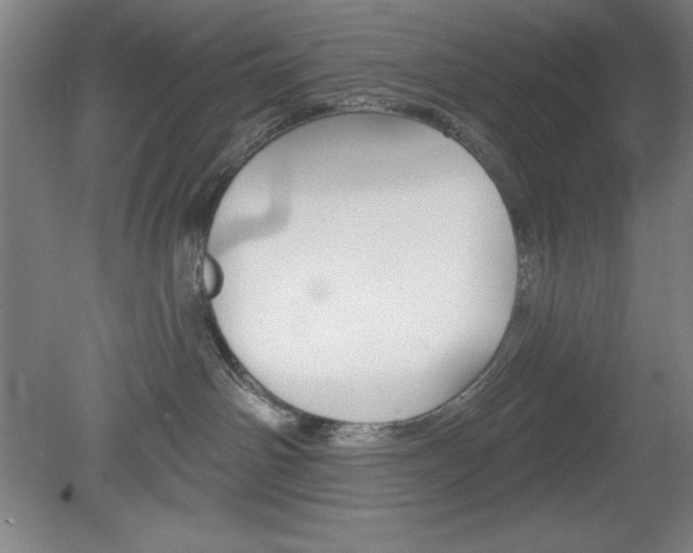 X0000078830142200611130941