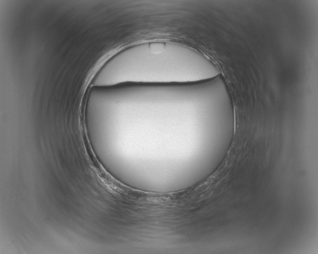 X0000078830147200611130941
